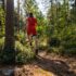 Discovering Your Running Paradise: How to Find Trails to Run